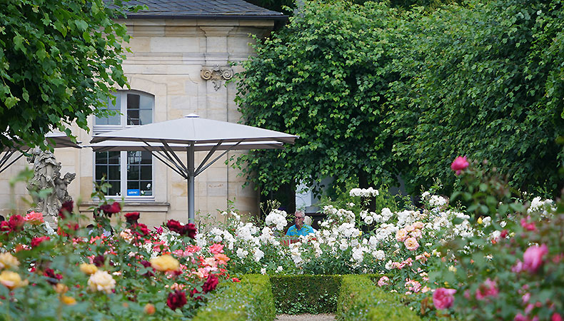 Bild: Rosengarten mit Café