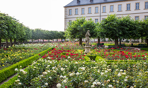 Bavarian Palace Administration | New Residence in Bamberg | Rose Garden